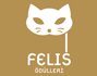 Felis